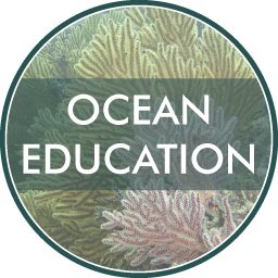 ocean-education