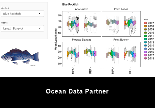 ca-collaborative-fisheries-research-program-ccfrp-interactive-data-app